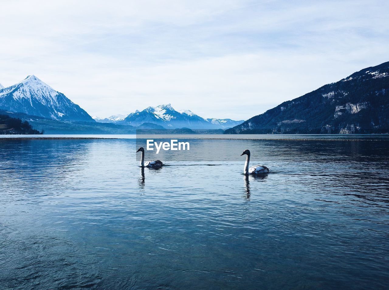 water, mountain, scenics - nature, beauty in nature, lake, sky, nature, snow, reflection, cold temperature, environment, tranquil scene, day, tranquility, landscape, mountain range, winter, travel, travel destinations, leisure activity, outdoors, cloud, adventure, two people, non-urban scene, bird, ocean, animal themes, snowcapped mountain, ice, wildlife, adult, animal, blue, animal wildlife, men, vehicle