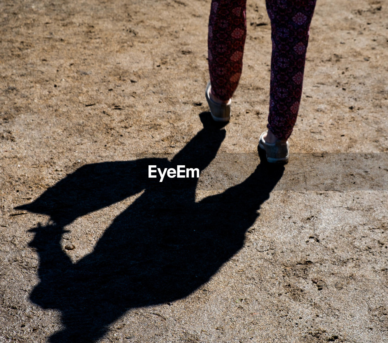 Low section of person walking on land during sunny day