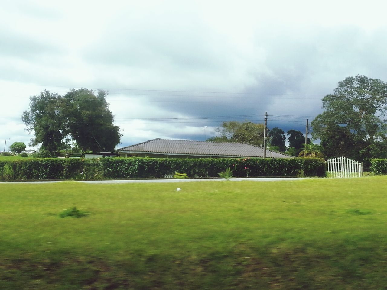 TREES ON GRASSY FIELD AGAINST CLOUDY SKY