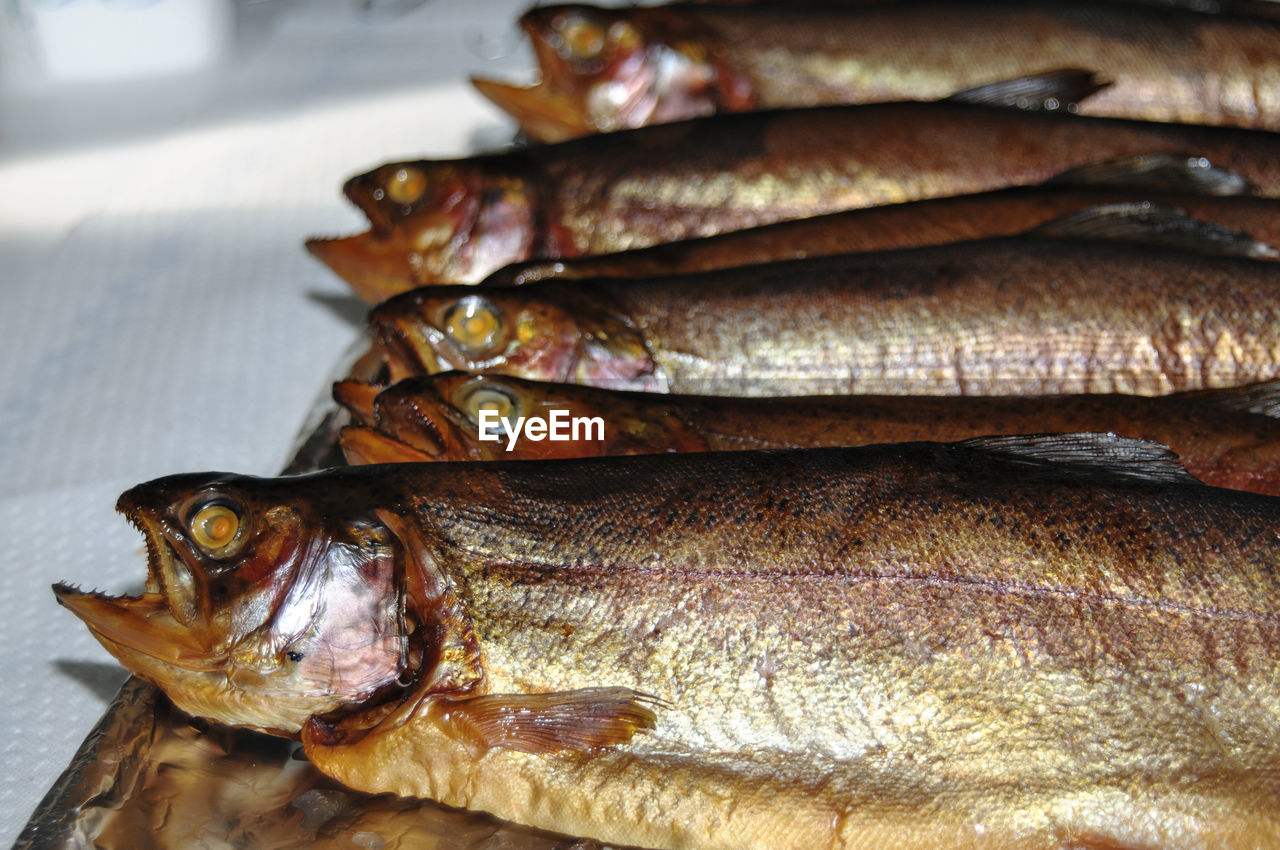 CLOSE-UP OF FISH FOR SALE AT MARKET