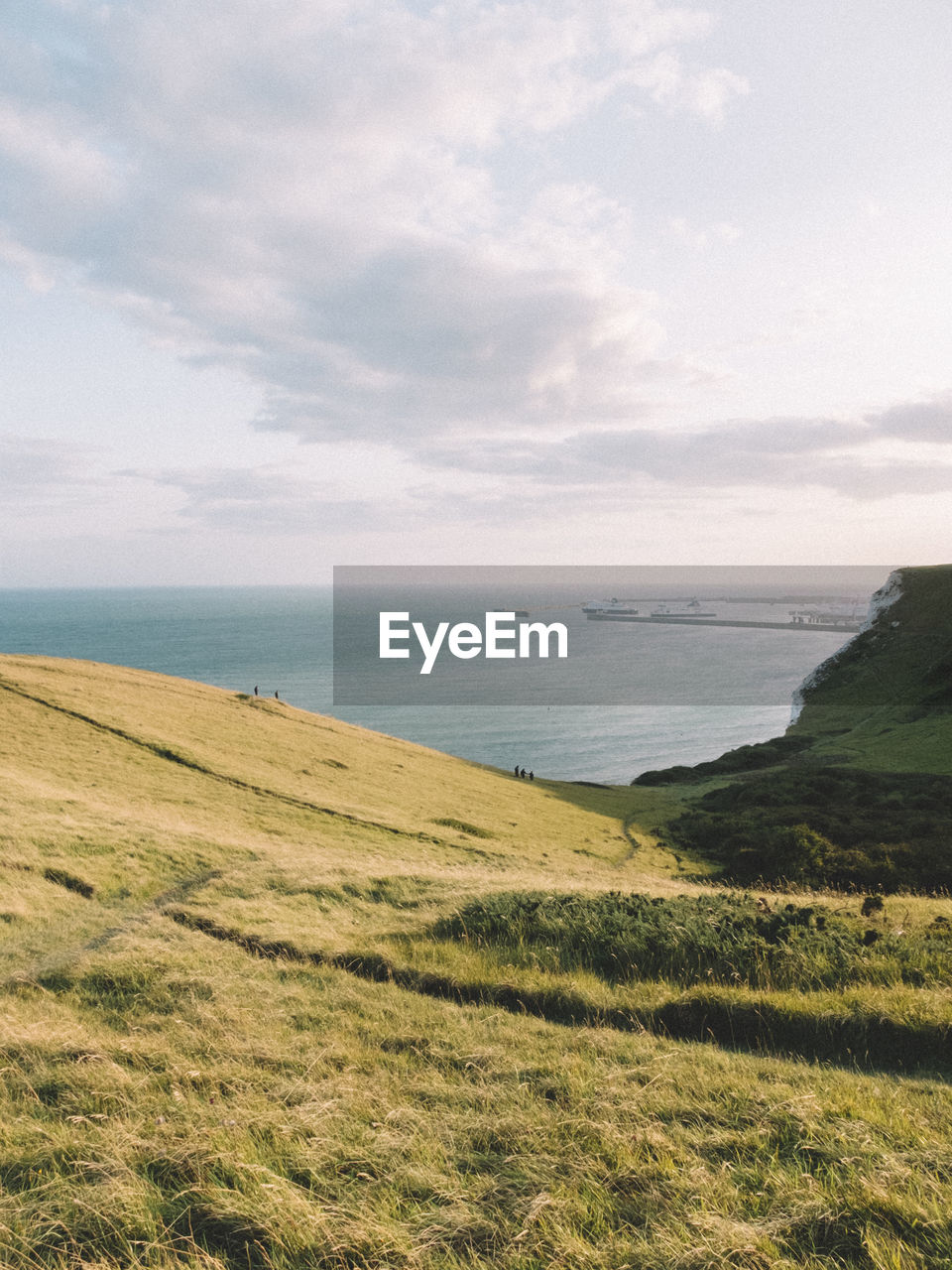 Scenic view of field by sea against sky