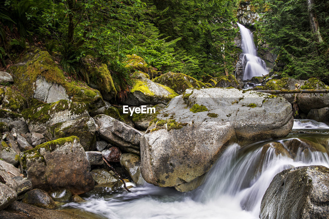 View of waterfall in forest