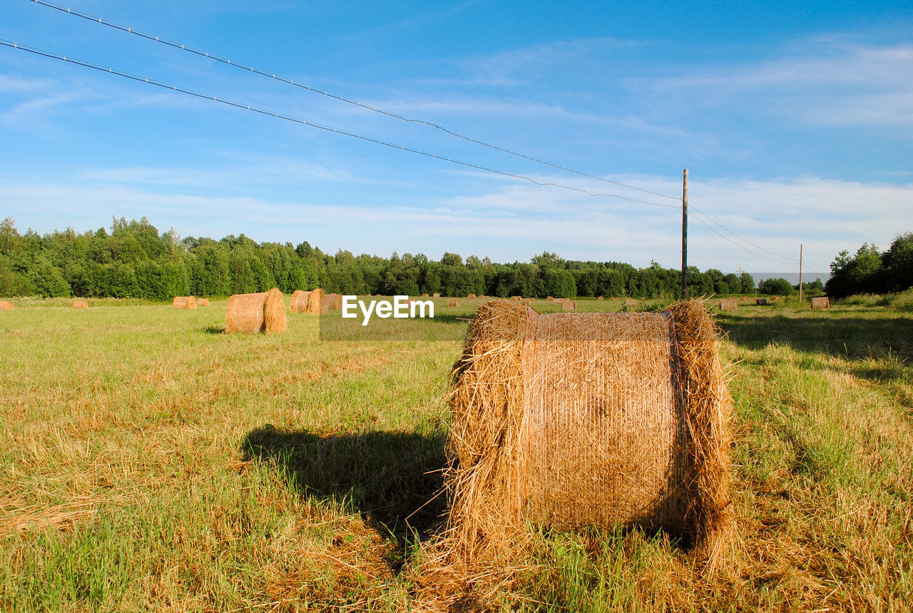 HAY BALES ON FIELD AGAINST SKY DURING SUNSET