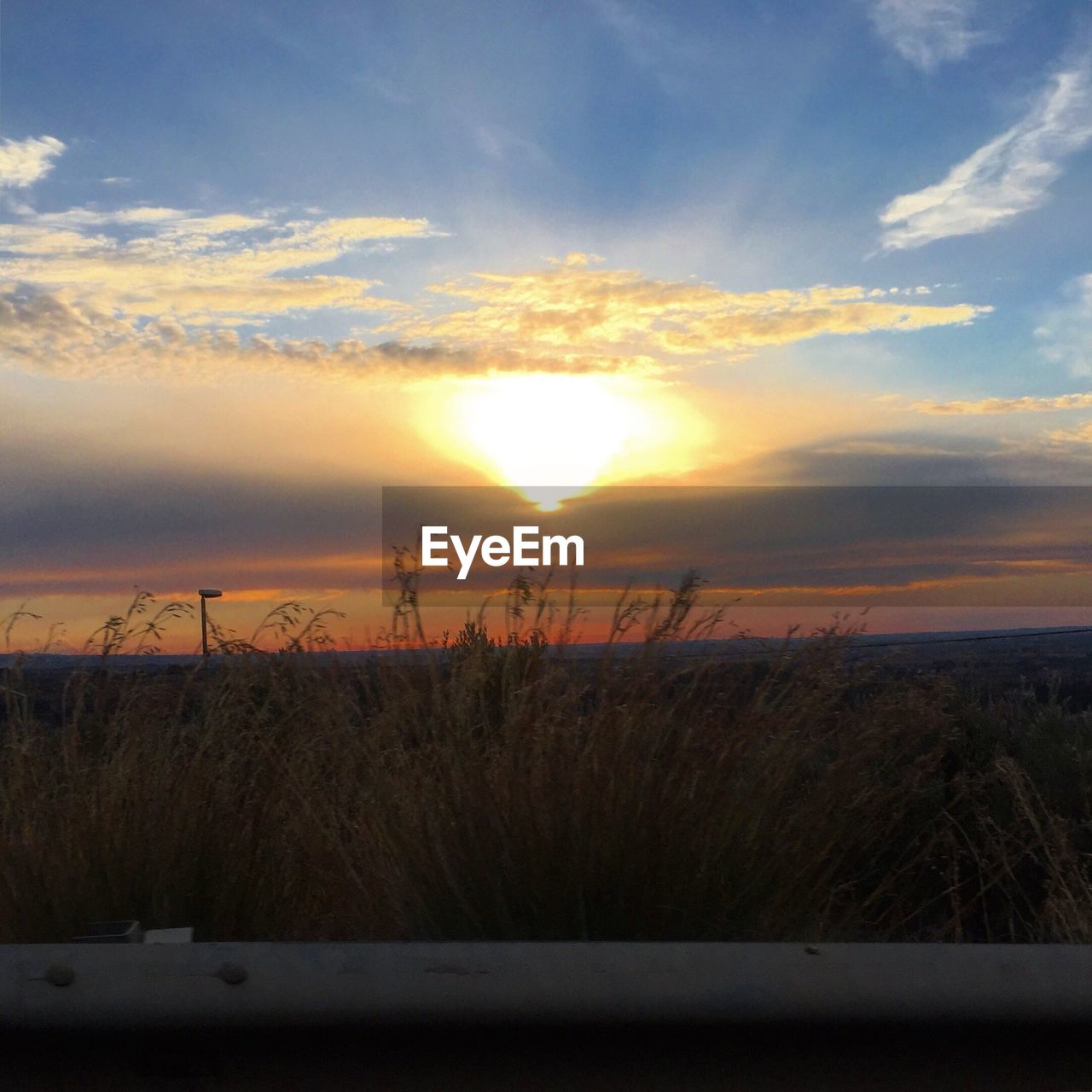 SCENIC VIEW OF SUNSET OVER FIELD