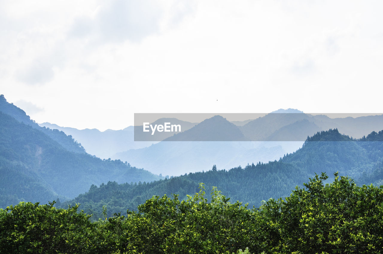 Scenic view of forest and mountains against sky