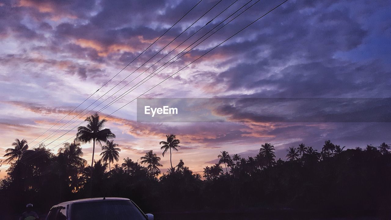 LOW ANGLE VIEW OF SILHOUETTE TREES AGAINST SUNSET SKY