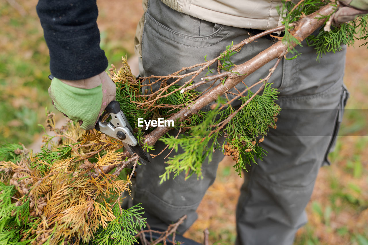 MAN HOLDING PLANT ON FIELD