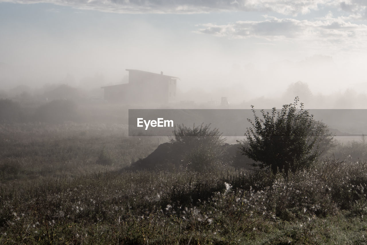 morning, mist, fog, nature, plant, hill, environment, cloud, sky, rural area, landscape, no people, dawn, land, tree, architecture, haze, horizon, snow, beauty in nature, outdoors, sunlight, scenics - nature, building exterior, winter, tranquility, grass, day, built structure, forest