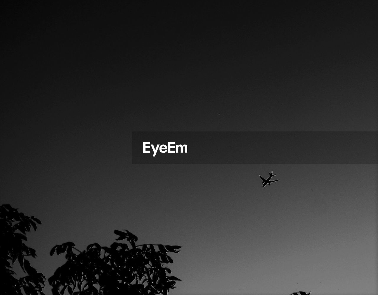 LOW ANGLE VIEW OF AIRPLANE FLYING IN CLEAR SKY