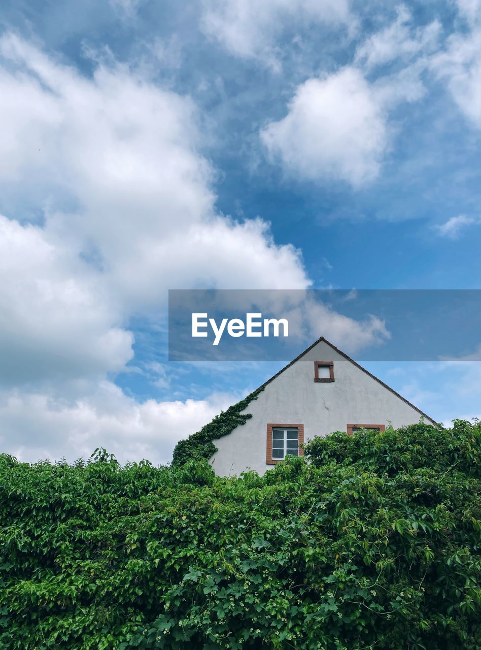 LOW ANGLE VIEW OF HOUSE AND TREES AND PLANTS AGAINST SKY