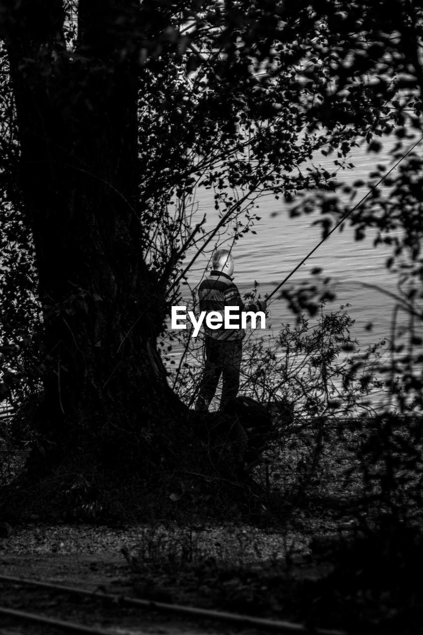 Man fishing by lake seen through tree