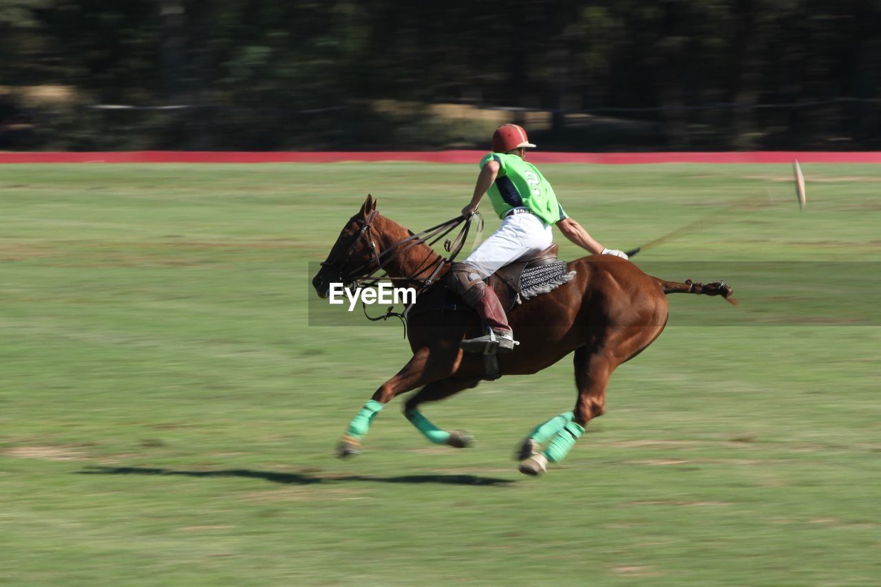 Man playing polo on field