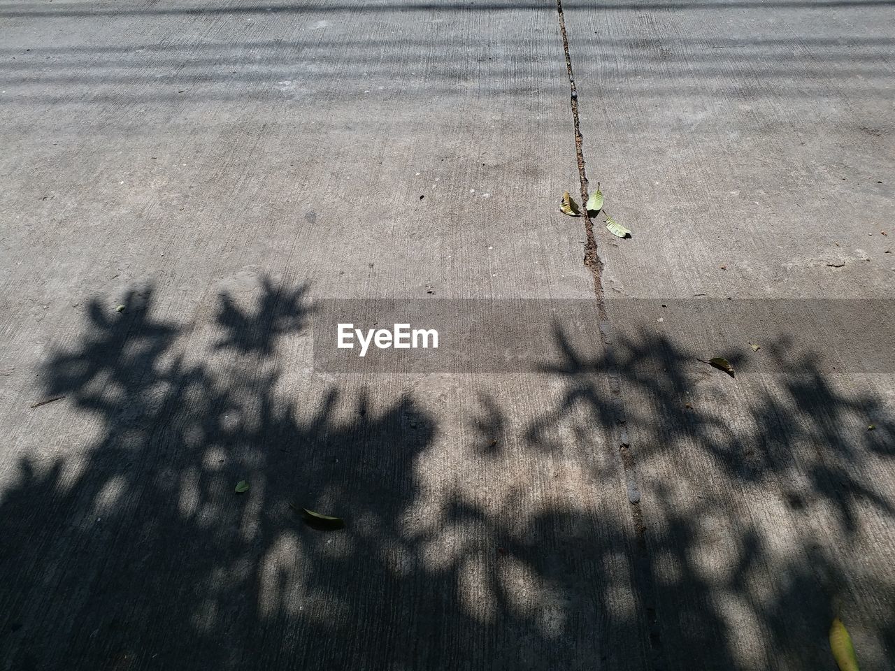 Close-up high angle view of shadow