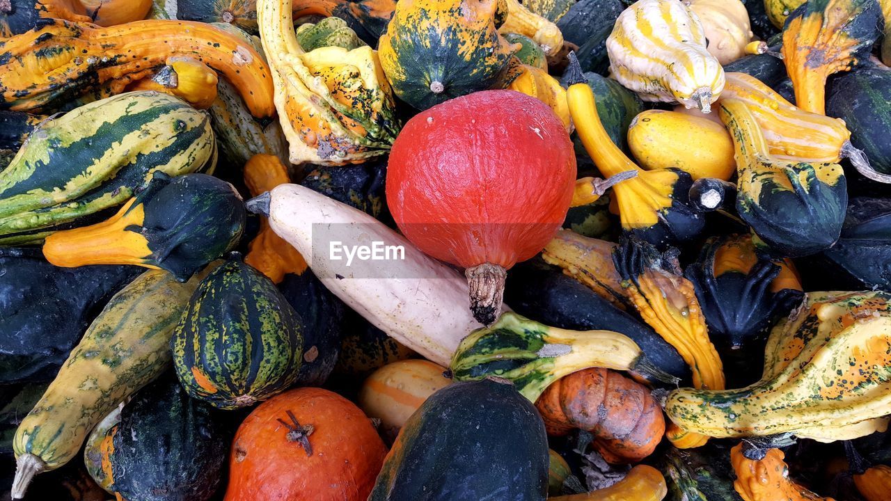 Full frame shot of pumpkins