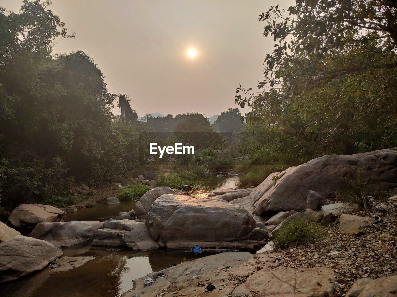 nature, rock, tree, sky, plant, landscape, scenics - nature, environment, wilderness, beauty in nature, moon, land, tranquility, no people, forest, sun, morning, outdoors, river, tranquil scene, water, travel, non-urban scene, valley, sunlight, travel destinations, fog, cloud, mountain, full moon