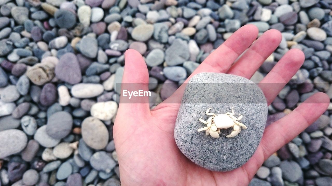 LOW SECTION OF PERSON HAND HOLDING PEBBLES ON BEACH