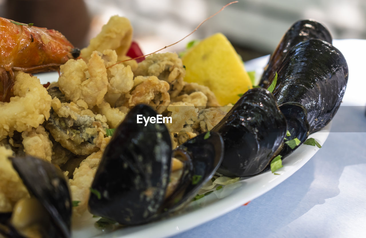 CLOSE-UP OF FOOD SERVED IN PLATE