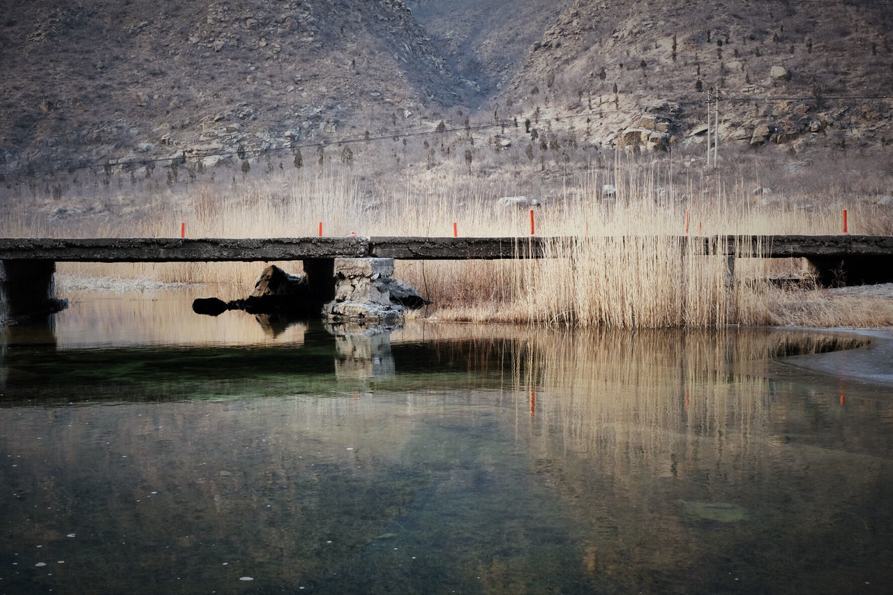 REFLECTION OF TREES IN WATER