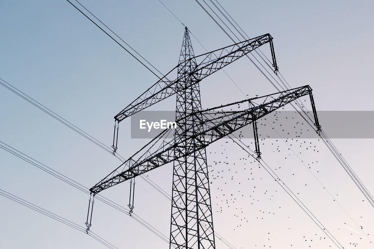 Low angle view of electricity pylon and flock of birds against clear sky