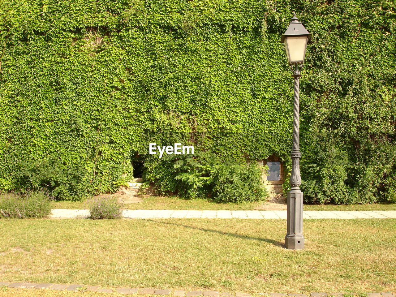 Street light on field against trees in park during sunny day