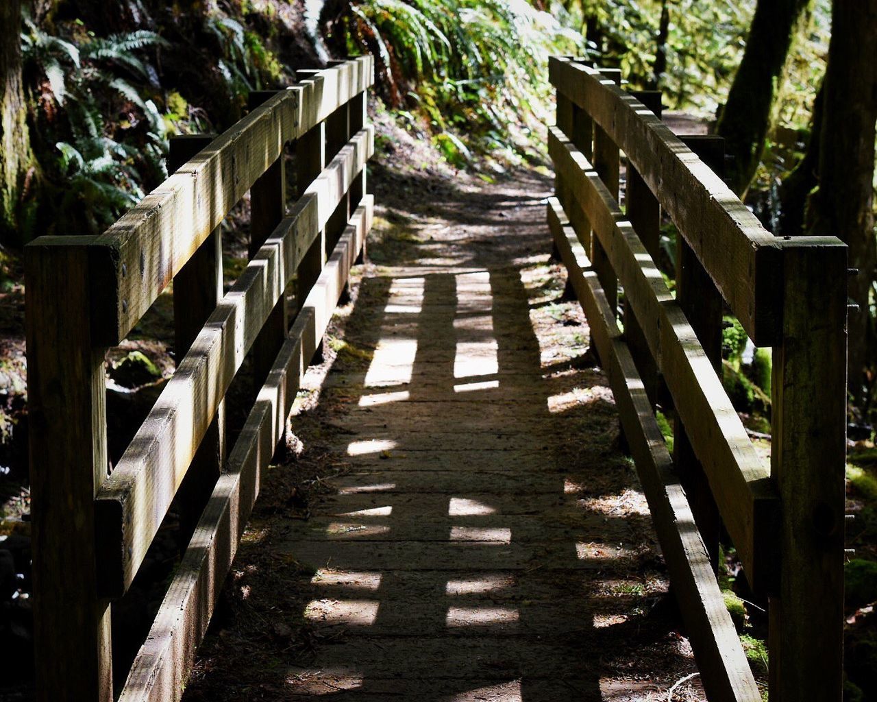 WOODEN WALKWAY