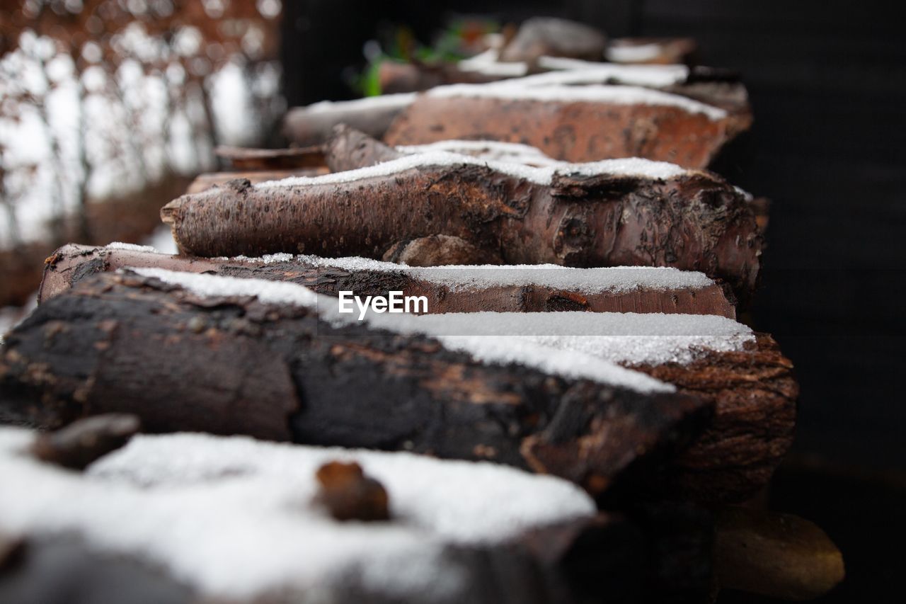 CLOSE-UP OF LOGS IN SNOW