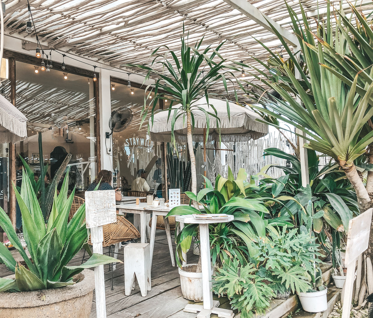 POTTED PLANTS ON TABLE AGAINST TREES