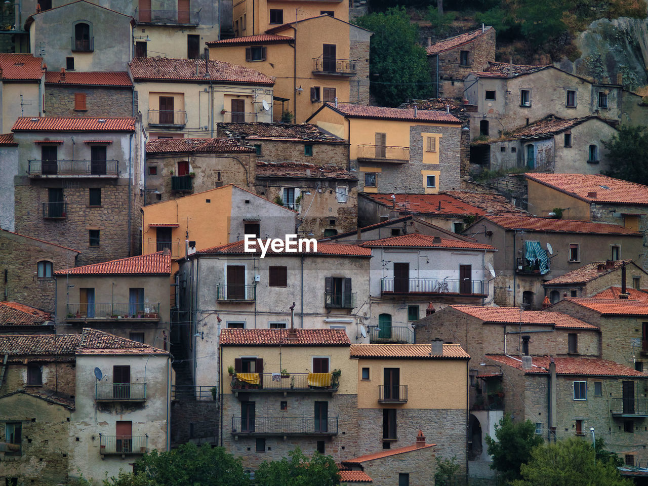 Buildings in town