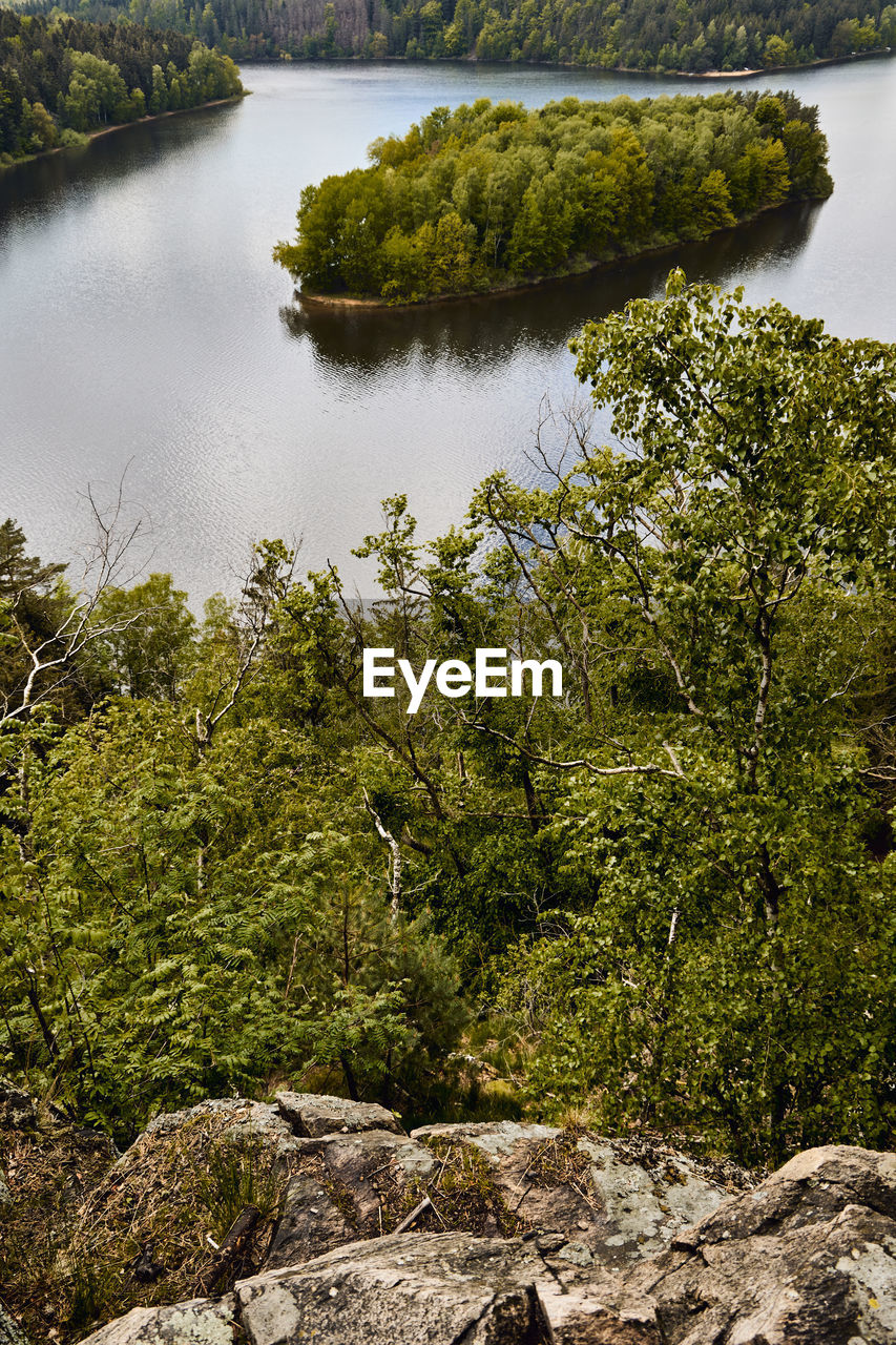 HIGH ANGLE VIEW OF LAKE AMIDST TREES IN FOREST