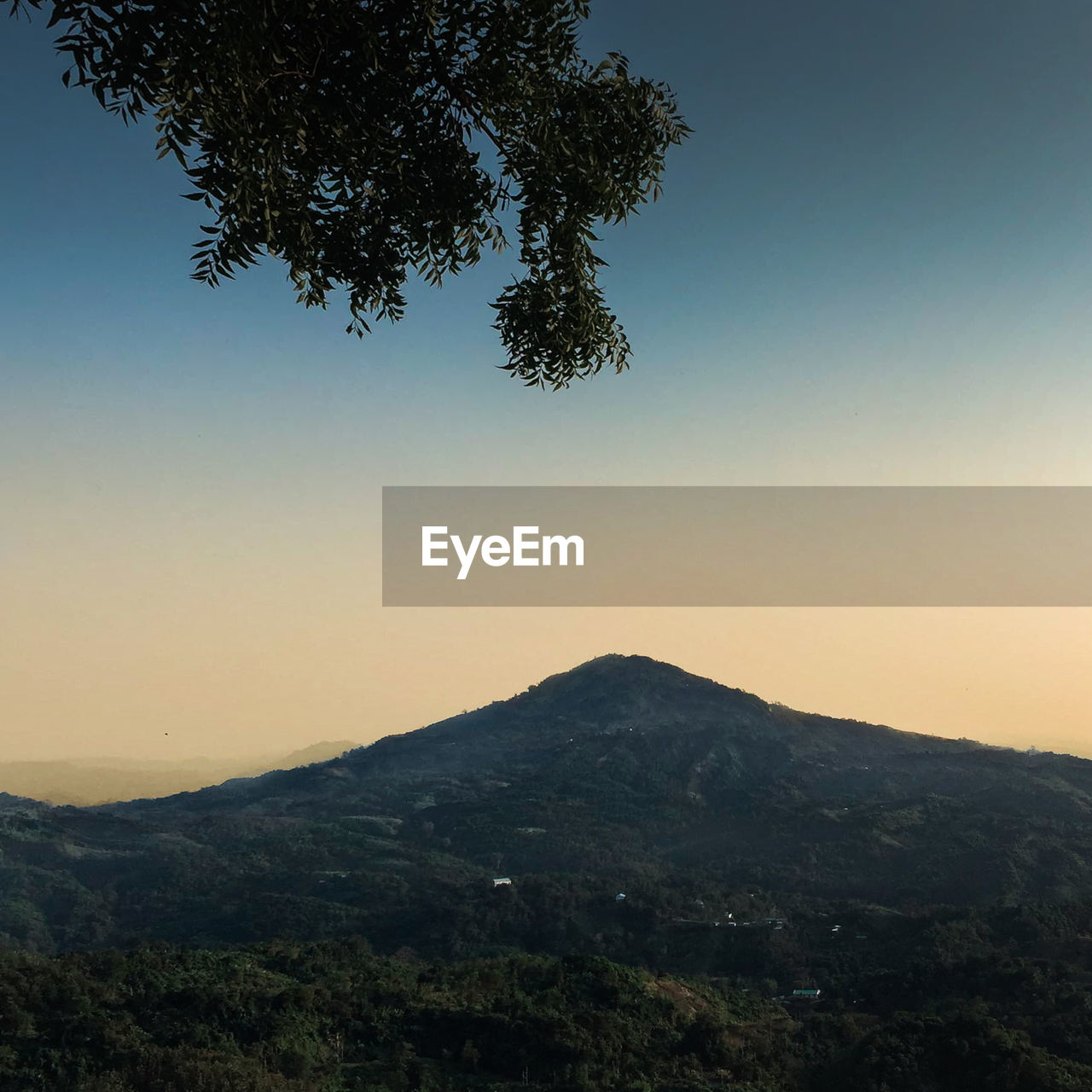 SCENIC VIEW OF TREE MOUNTAINS AGAINST CLEAR SKY