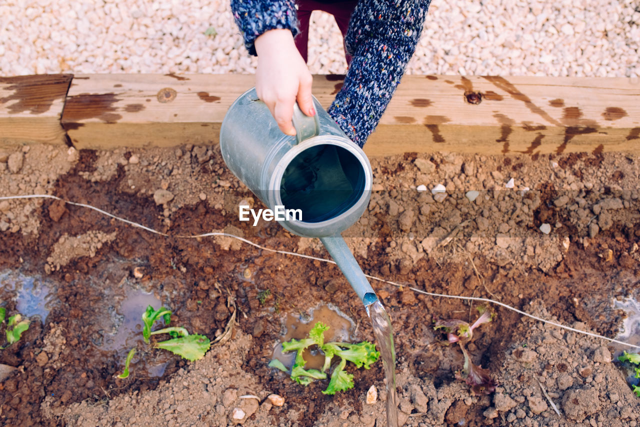 Low section of girl watering plants