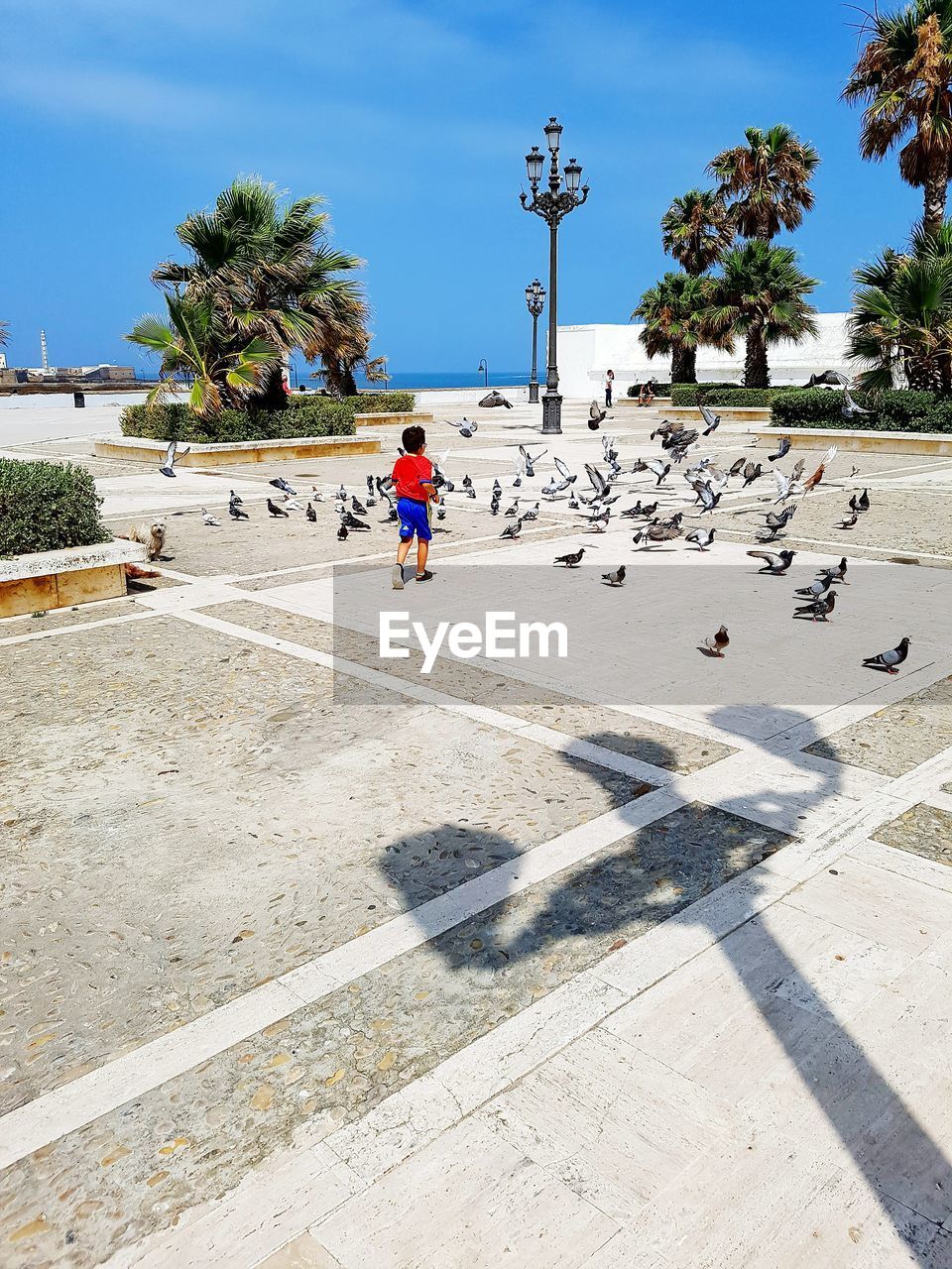 SHADOW OF PEOPLE ON SAND