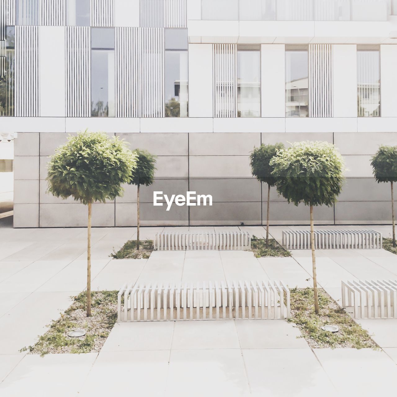 Plants on paved footpath by university of gdansk