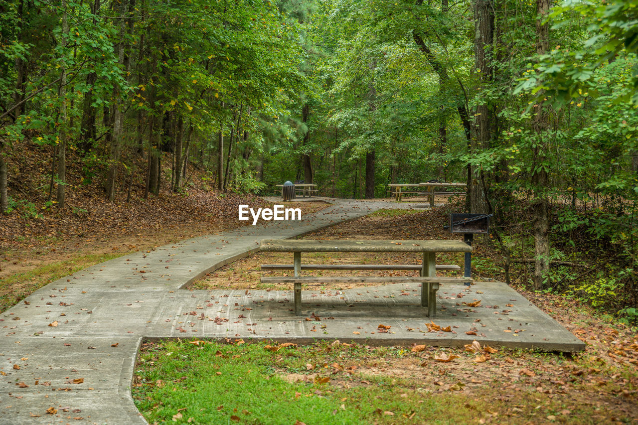 PARK BENCH IN FOREST
