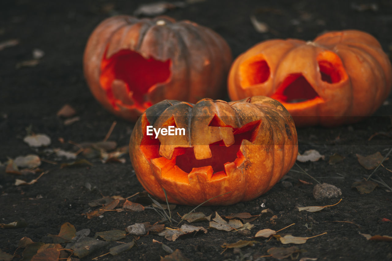 Jack o lantern on field