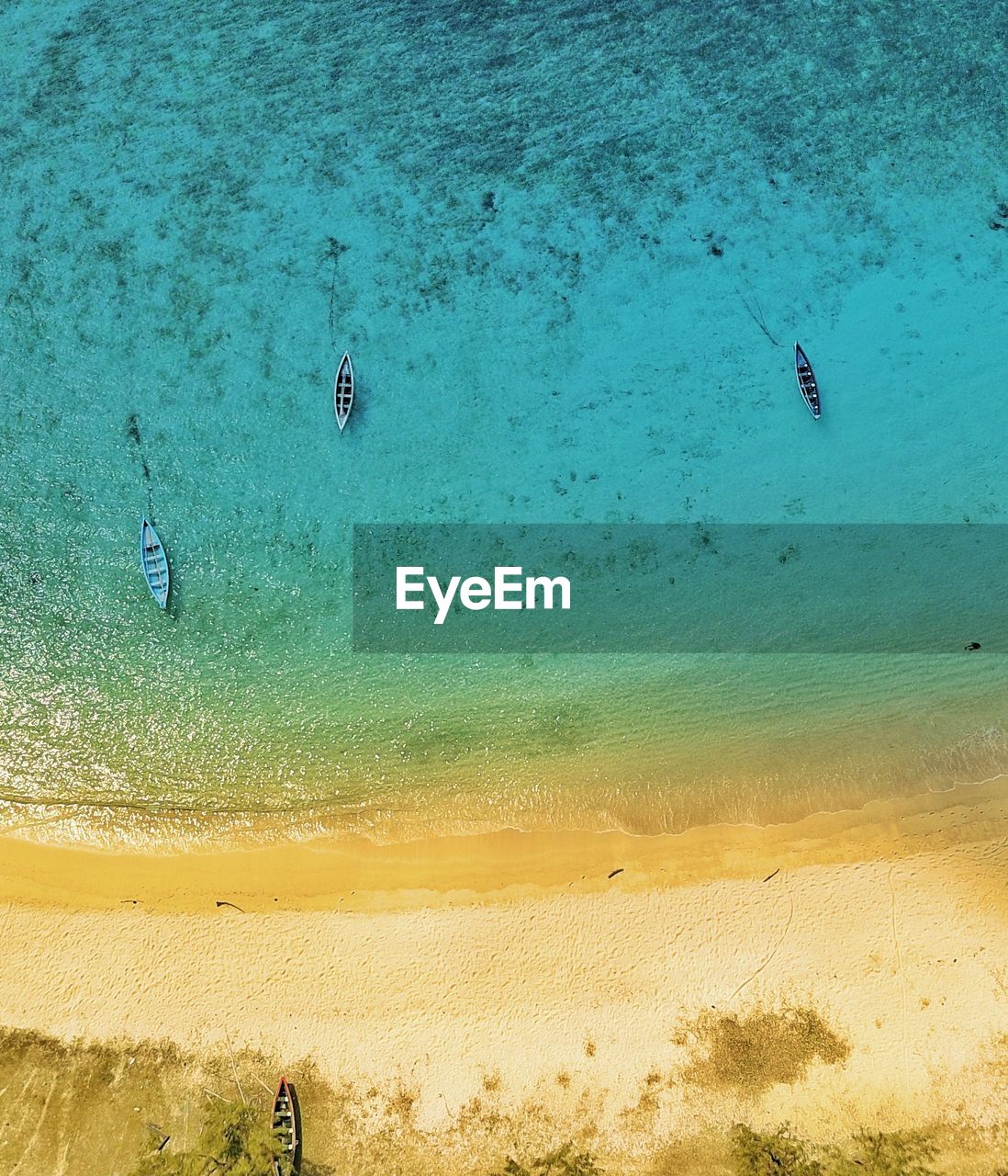 Aerial view of beach