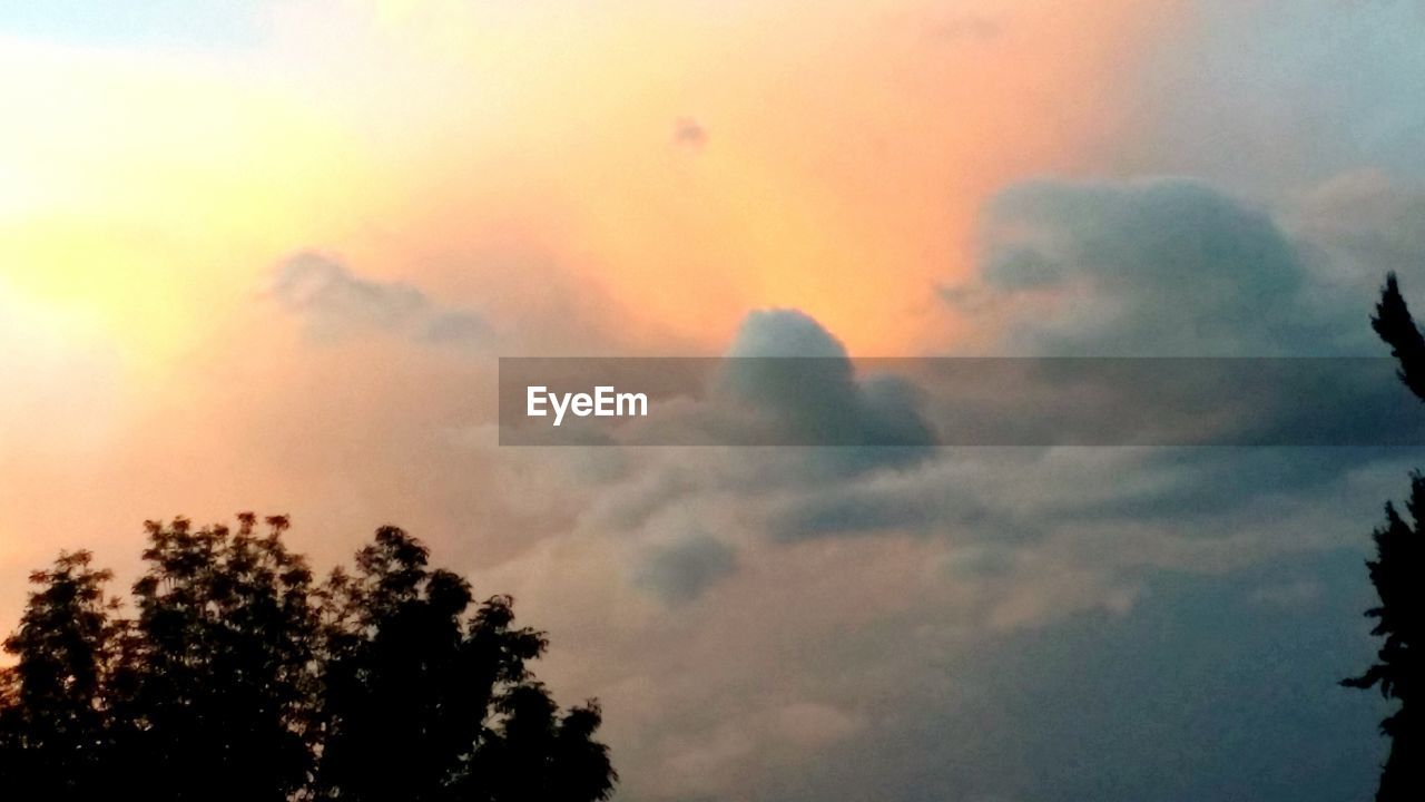 SILHOUETTE OF TREES AGAINST CLOUDY SKY