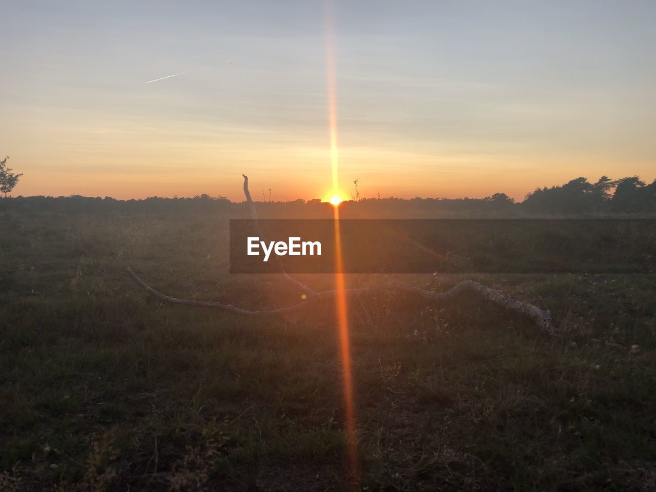 Scenic view of field against sky during sunset