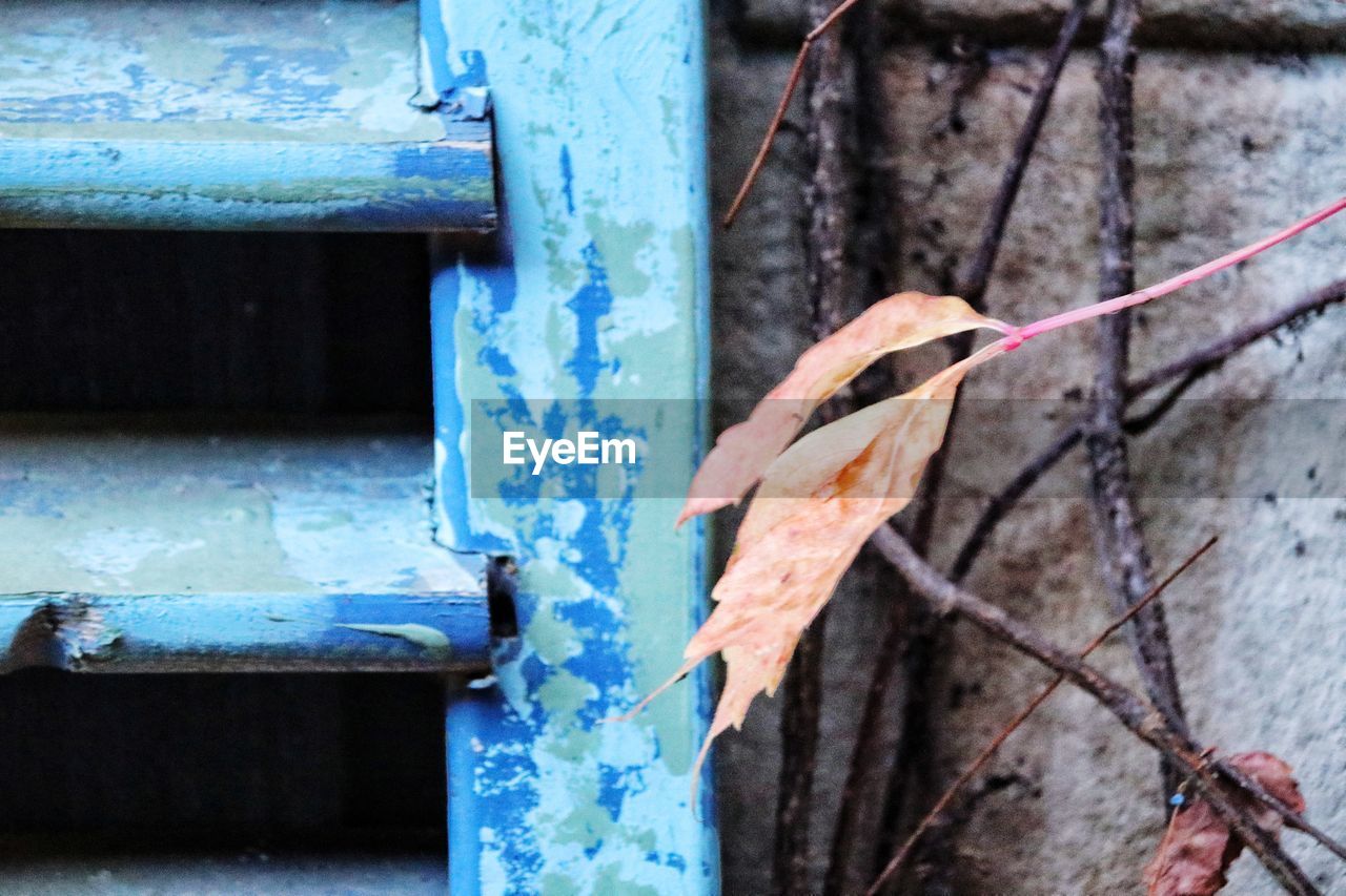 CLOSE-UP OF BLUE METAL FENCE