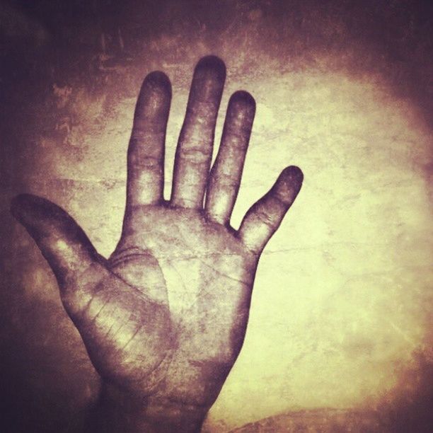 CROPPED IMAGE OF HAND