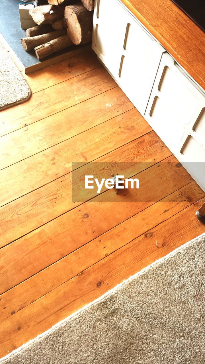 High angle view of tiny tortoise on hardwood floor