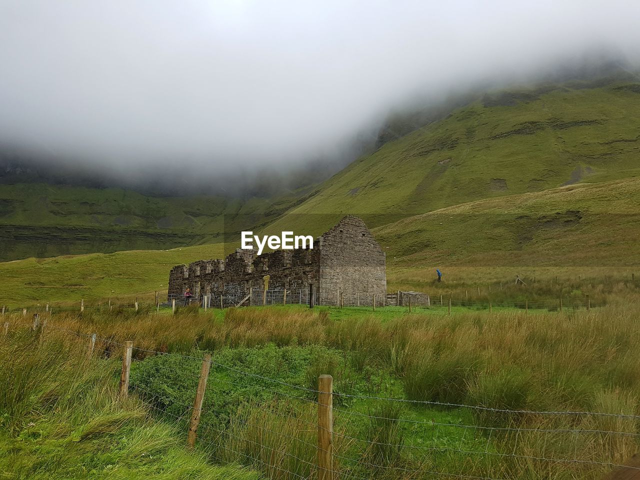 SCENIC VIEW OF FIELD AGAINST SKY DURING FOGGY WEATHER