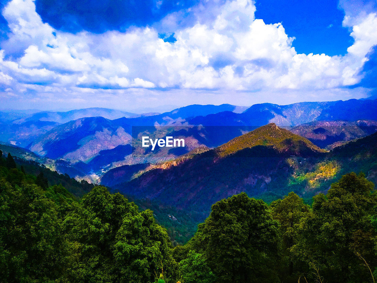 SCENIC VIEW OF FOREST AND MOUNTAINS AGAINST SKY