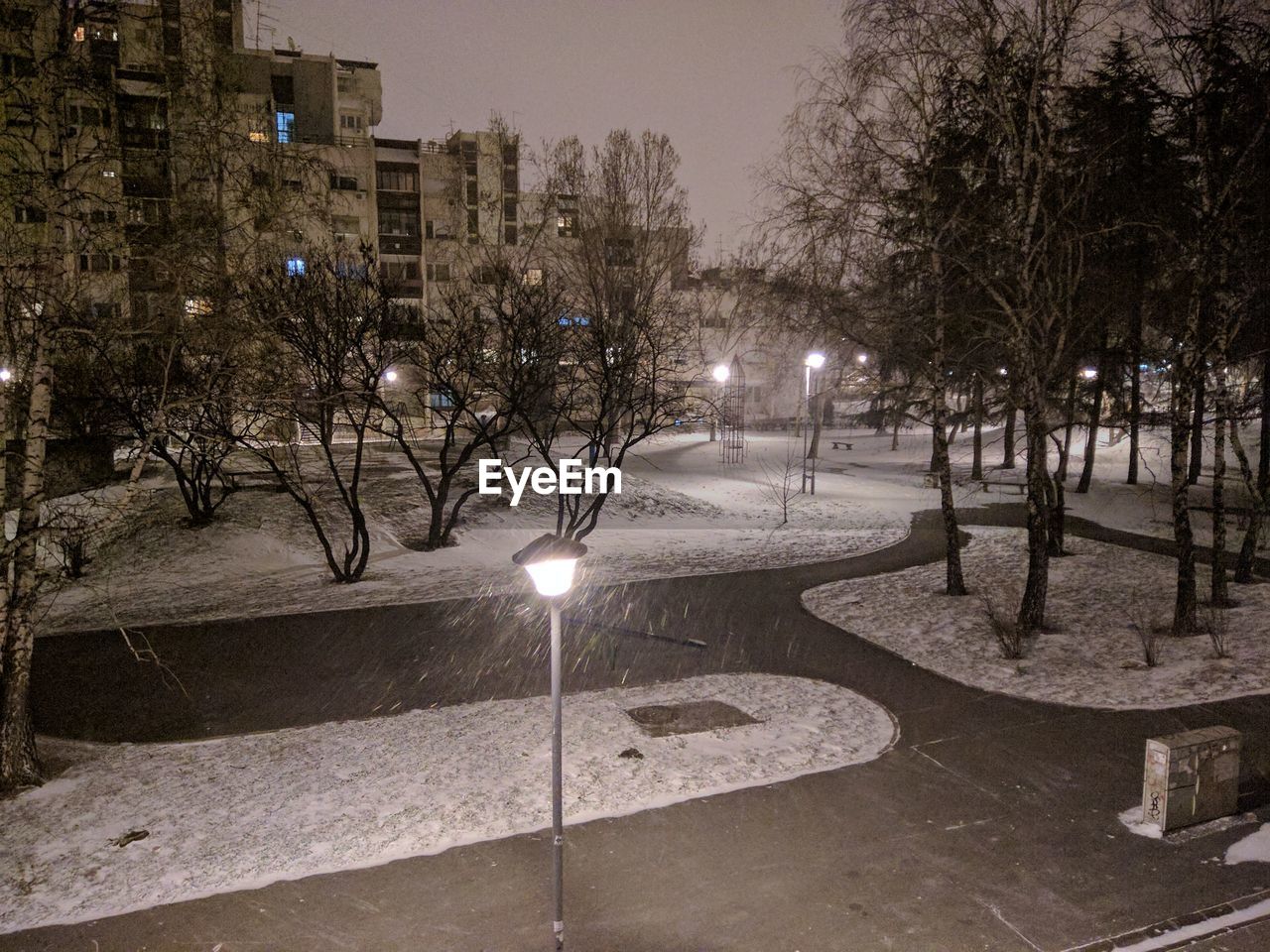 ILLUMINATED STREET LIGHT AND BARE TREES DURING WINTER