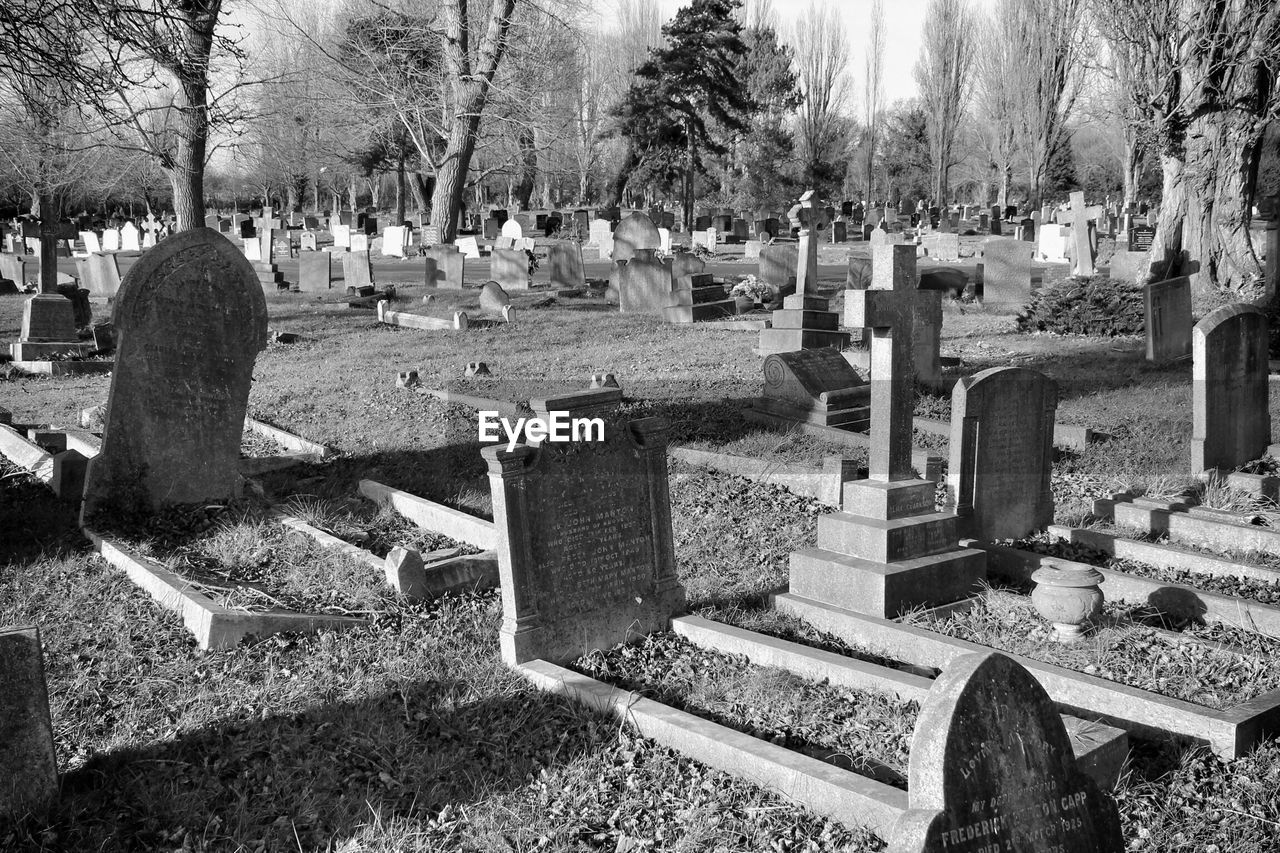 TOMBSTONES IN GRAVEYARD