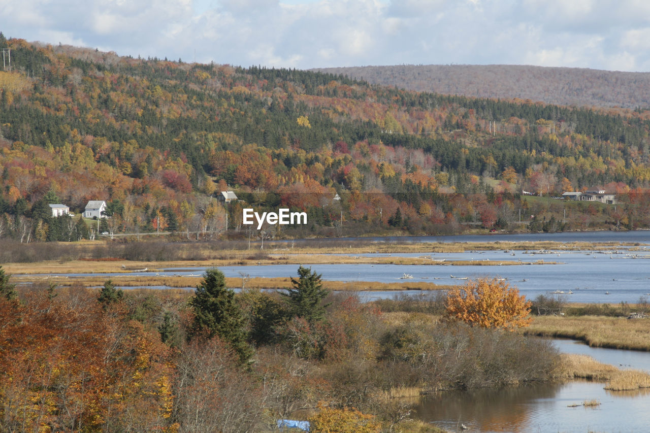 TREES BY LAKE AGAINST SKY DURING AUTUMN