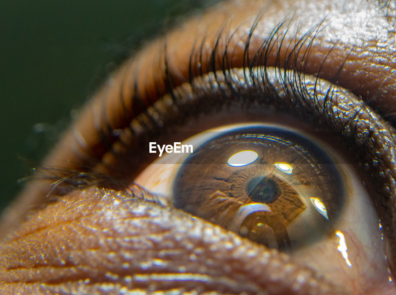 Close up of african american man dark brown eyes for use in ophthalmology optometry imagery