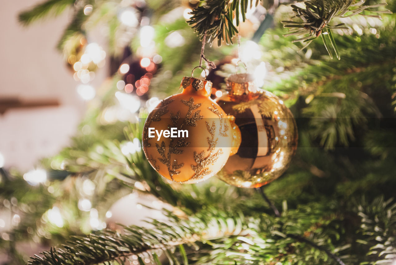 Close-up of christmas bauble hanging on tree