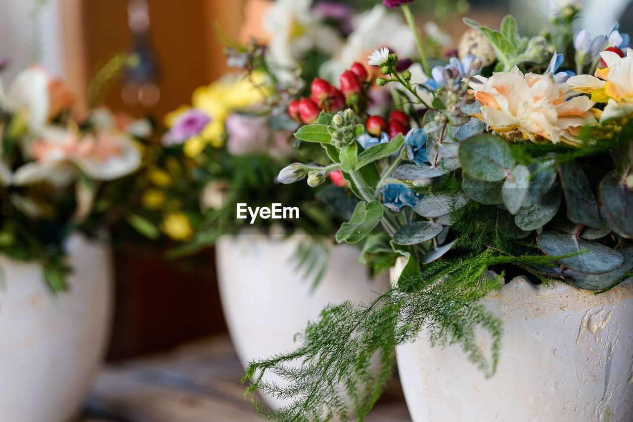 CLOSE-UP OF POTTED PLANT WITH RED FLOWER POT