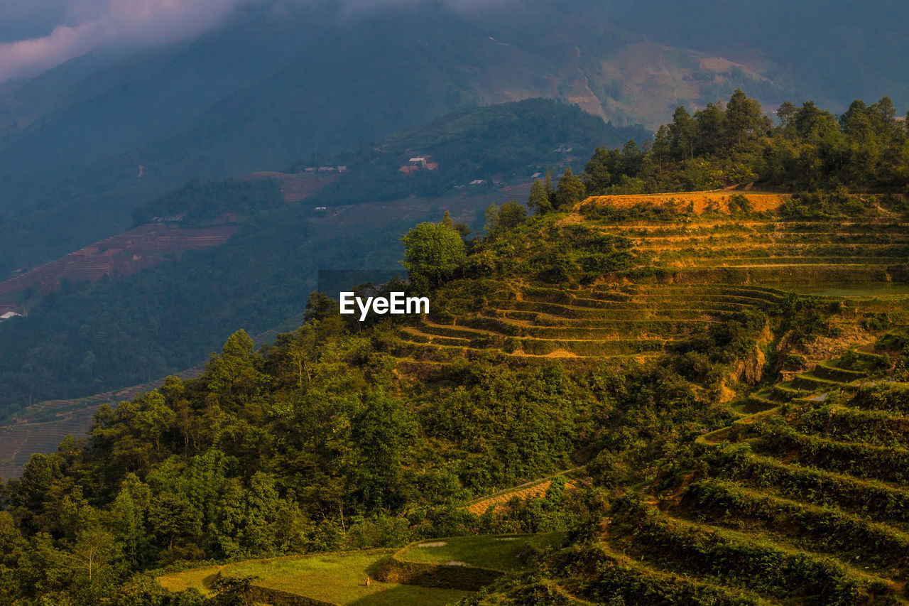 Scenic view of landscape and mountains against sky